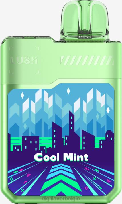 Digiflavor Vape Price - B6T210 Digiflavor Geekbar LUSH wegwerpartikelen frisse munt